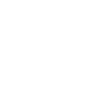 aboutus icon